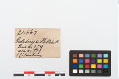 Etikett zu Eisenlanzenspitze (NHMW-PRAE-024467)